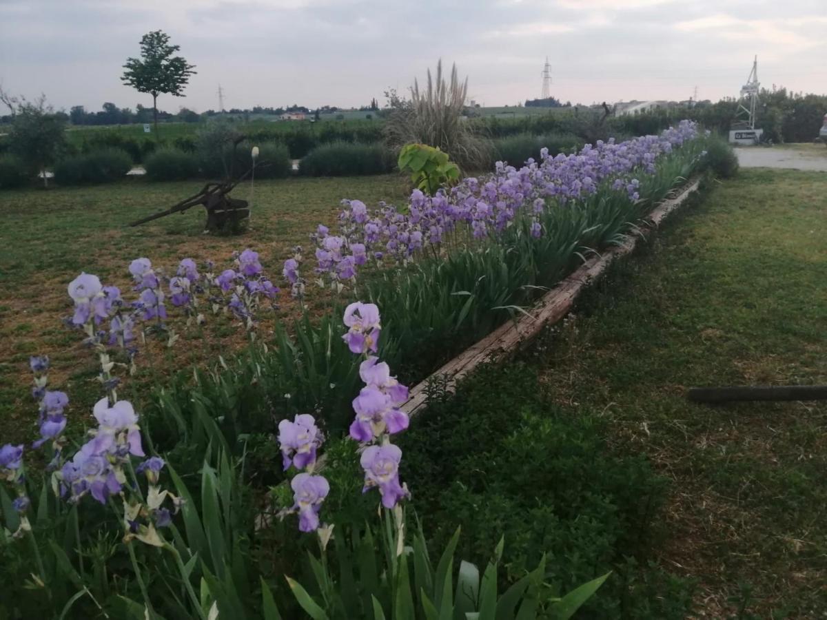 Bed and Breakfast Ca' Blanca Кастельнуово-дель-Гарда Экстерьер фото