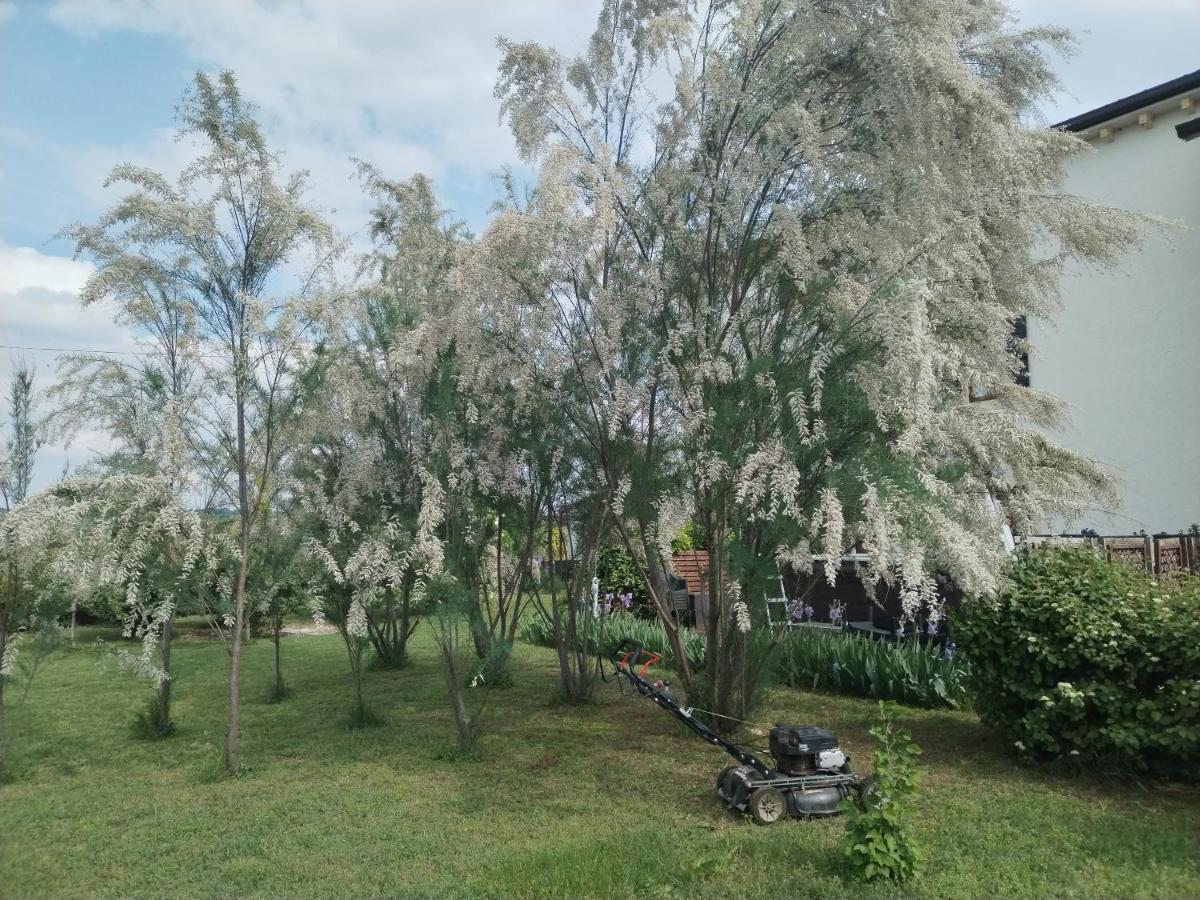 Bed and Breakfast Ca' Blanca Кастельнуово-дель-Гарда Экстерьер фото